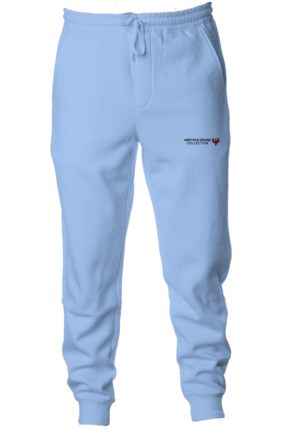 Ambitious Dreamz Light Blue Embroidered Joggers