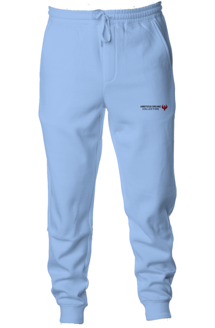 Ambitious Dreamz Light Blue Embroidered Joggers